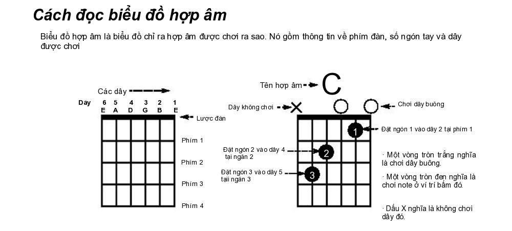 hop am guitar co ban