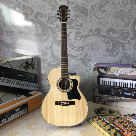 Guitar Acoustic Linas L170EQ