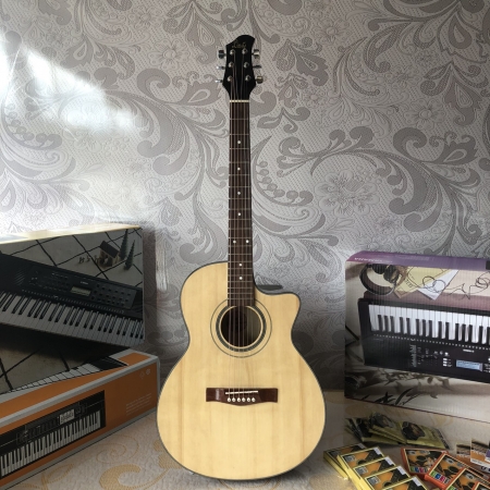 Guitar Acoustic Linas L70