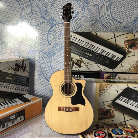 Guitar Acoustic Linas  L70EQ