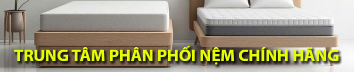 Âm thanh - nhạc cụ chính hãng