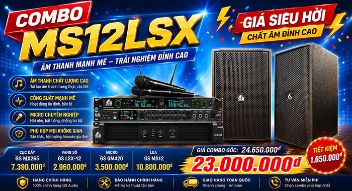 COMBO MS12LSX – âm thanh mạnh mẽ , trải nghiệm đỉnh cao
