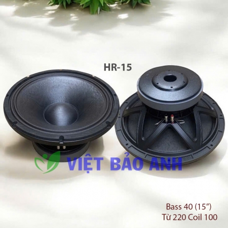 Loa bass 15inch HR15