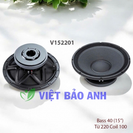 Loa bass 15inch V152201