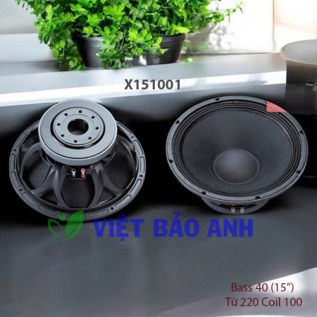 Loa bass 15inch X151001