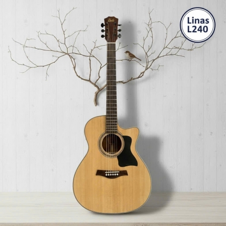 Đàn Guitar Acoustic Linas L240