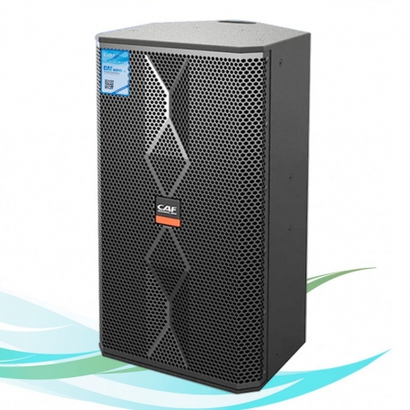 Loa karaoke CAF TW-10 Pro