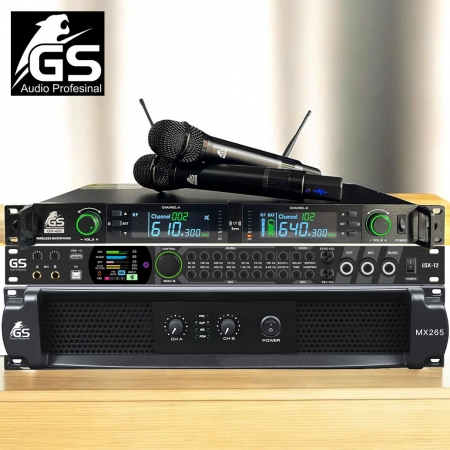 Combo karaoke GS LMX1265