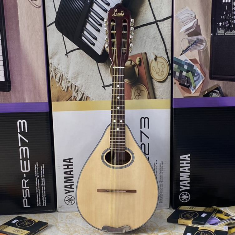 Mandolin Linas LM100