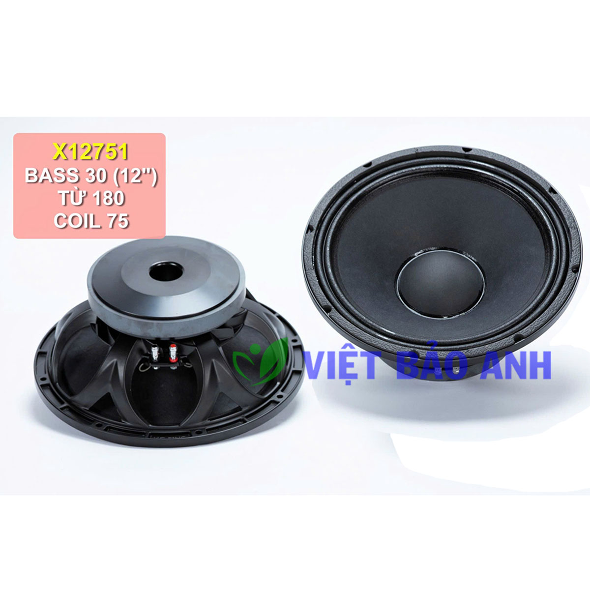 Loa bass 12inch X12751