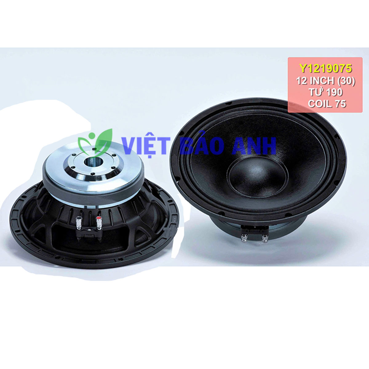 Loa bass 12inch Y1219075