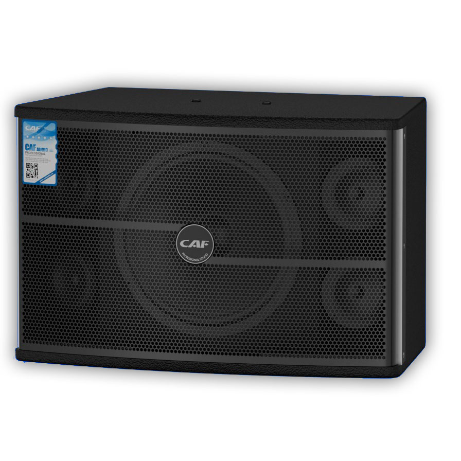Loa karaoke CAF Ki510 Pro