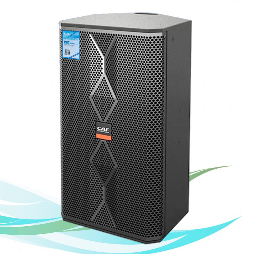 Loa karaoke CAF TW-10 Pro