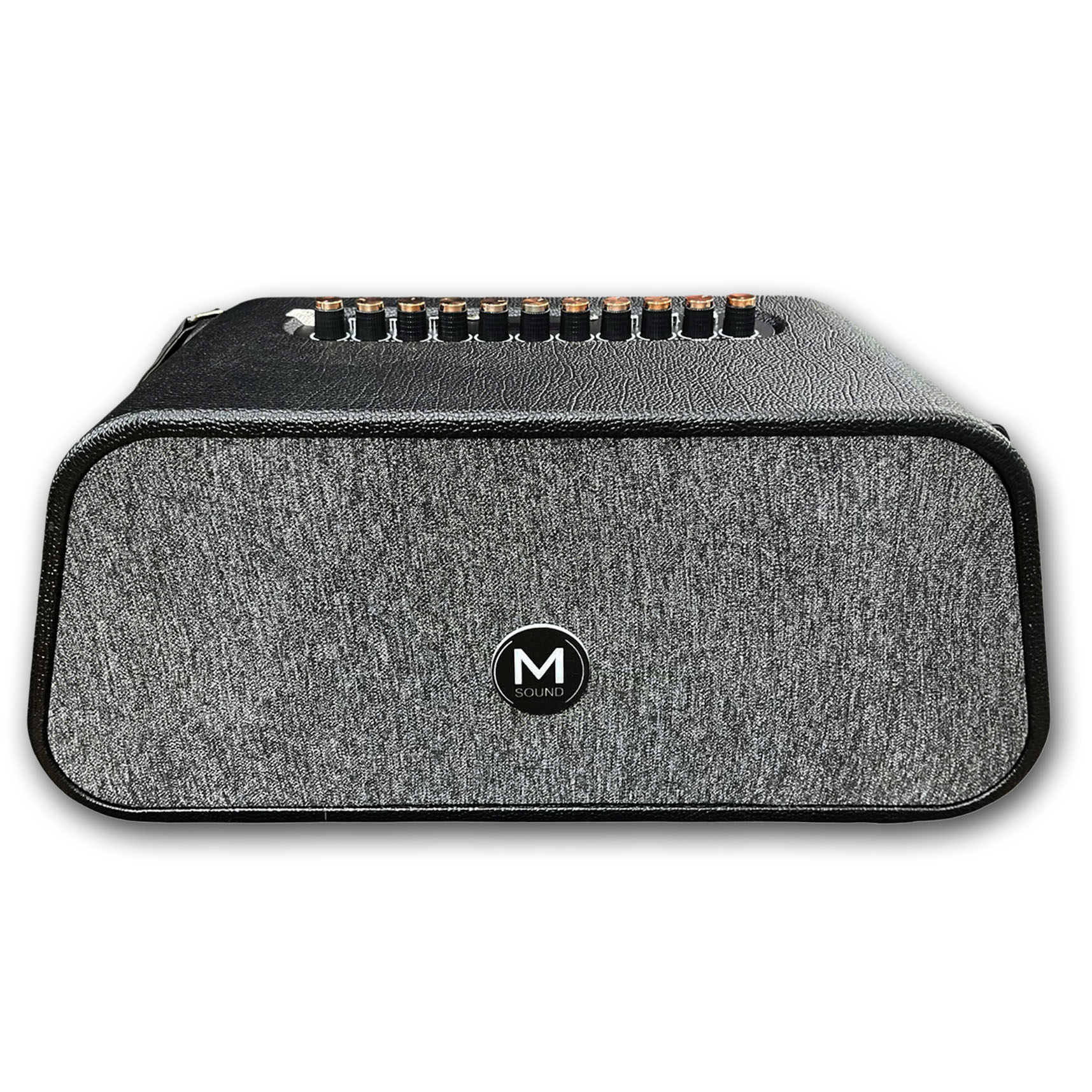 Loa xách tay Msound LM6